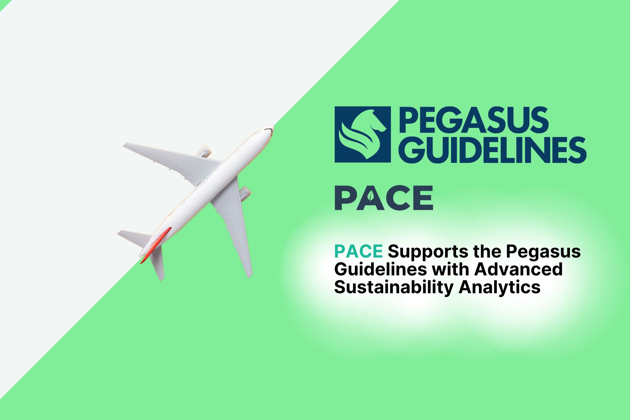Latest News & Insights - PACE 
